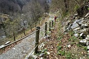 32 Incrocio col sentiero-sterrata che proviene dal Ponte della Lavina, che faremo al rientro